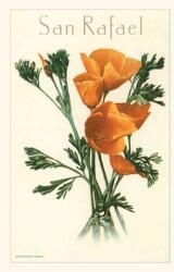Vintage Journal San Rafael California Poppies (ISBN: 9781648117268)
