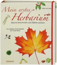 Mein erstes Herbarium - Bäume bestimmen und Blätter pressen - Anita van Saan, Viola Beyer (ISBN: 9783401452562)