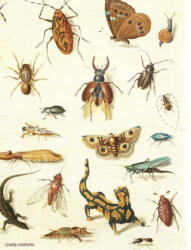 Crawly Creatures: Depiction and Appreciation of Insects and Other Critters in Art and Science (ISBN: 9789462087569)