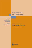 Cohomology of Finite Groups (2010)