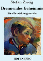 Brennendes Geheimnis (ISBN: 9783743744448)