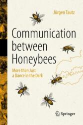 Communication Between Honeybees: More Than Just a Dance in the Dark (ISBN: 9783030994839)