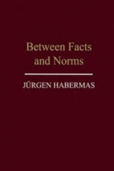 Between Facts and Norms - Contributions to a Discourse Theory of Law and Democracy (1997)