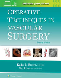 Operative Techniques in Vascular Surgery (ISBN: 9781975176648)