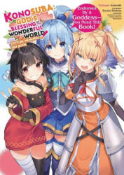 Konosuba: God's Blessing on This Wonderful World! Memorial Fan Book (ISBN: 9781975325817)