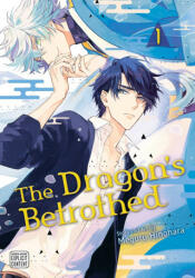 Dragon's Betrothed, Vol. 1 (ISBN: 9781974734153)
