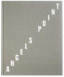 Angels Point (ISBN: 9781910401750)
