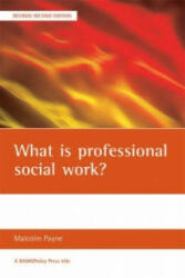 What is professional social work? - Malcolm Payne (2006)