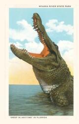 Vintage Journal Gaping Alligator Myakka State Park Florida (ISBN: 9781669519379)