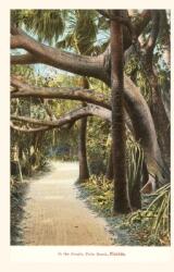 Vintage Journal Jungle Palm Beach Florida (ISBN: 9781669518037)