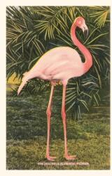 Vintage Journal Flamingo (ISBN: 9781669517962)