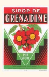 Vintage Journal Grenadine Syrup (ISBN: 9781669524298)