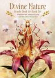Divine Nature - Angi Sullins, Greg Spalenka (ISBN: 9781646711185)