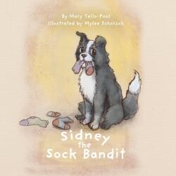 Sidney the Sock Bandit (ISBN: 9781639370634)
