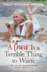 Crisis is a Terrible Thing to Waste (ISBN: 9781582708812)