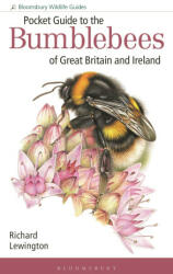 Pocket Guide to the Bumblebees of Great Britain and Ireland (ISBN: 9781472993595)