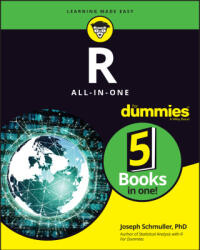R All-in-One For Dummies (ISBN: 9781119983699)