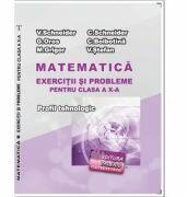 Matematica Exercitii si probleme pentru clasa a 10-a. Profilul Tehnologic - Virgiliu Schneider (ISBN: 9786060540380)