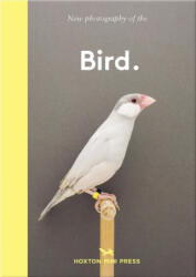 Hoxton Mini Press - Bird. - Hoxton Mini Press (ISBN: 9781910566718)