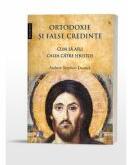 Ortodoxie si false credinte. Cum sa afli calea catre Hristos - Andrew Stephen Damick (ISBN: 9786069746912)