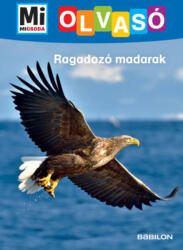 Ragadozó madarak (2022)