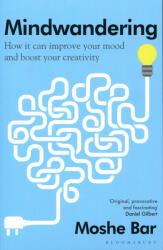 Mindwandering (ISBN: 9781408888025)