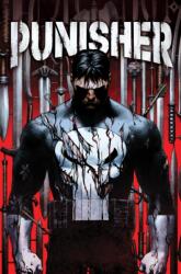 Punisher Vol. 1 - V01 (ISBN: 9781302928773)