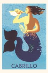 Vintage Journal Mermaid Cabrillo (ISBN: 9781648118517)