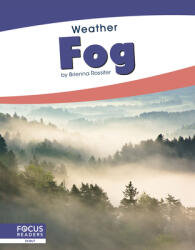 Fog (ISBN: 9781641858588)