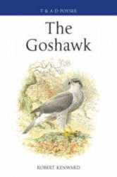 Goshawk - Robert Keward (2006)