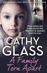 A Family Torn Apart (ISBN: 9780008540845)
