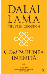 Compasiunea infinită (ISBN: 9786064412553)