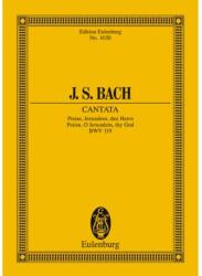 SERENADE FOR FLUTE, VIOLIN AND VIOLA D MAJOR OP. 25 POCKET SCORE (ISBN: 9786470221077)