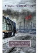 Cand se supara Tyche. Tineri ostatici ai destinului - Claudia Constantinescu (ISBN: 9786069010327)