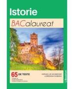 Istorie. Bacalaureat. 65 de teste - Adrian Ilie Aichimoaie (ISBN: 9786065909663)