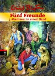 Fünf Freunde - 3 Abenteuer in einem Band - Enid Blyton, Silvia Christoph (ISBN: 9783570174357)