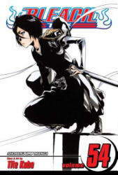Bleach, Vol. 54 - Tite Kubo (2013)