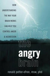 Healing the Angry Brain - Ronald Potter Efron (2012)