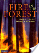 Fire in the Forest (2009)