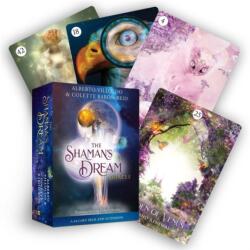 The Shaman's Dream Oracle (ISBN: 9781401959128)