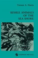 Sessile Animals of the Sea Shore (1990)