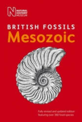 British Mesozoic Fossils - Natural History Museum (2013)