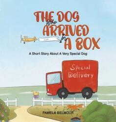 The Dog Who Arrived In A Box (ISBN: 9781398444089)