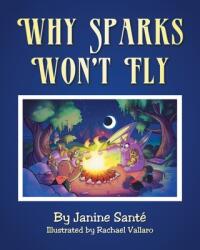 Why Sparks Won't Fly (ISBN: 9781638741954)