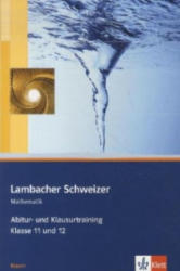Lambacher Schweizer Mathematik Abitur- und Klausurtraining. Ausgabe Bayern - Jürgen Frink, Detlef Hoche, Matthias Janssen, Matthias Dorn (2013)