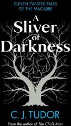 A Sliver of Darkness (ISBN: 9780241582633)