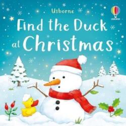 Find the Duck at Christmas (ISBN: 9781803701011)