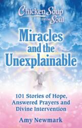 Chicken Soup for the Soul: Miracles and the Unexplainable (ISBN: 9781611590944)