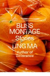 Bliss Montage (ISBN: 9781911231356)