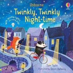 Twinkly Twinkly Night Time (ISBN: 9781474991810)